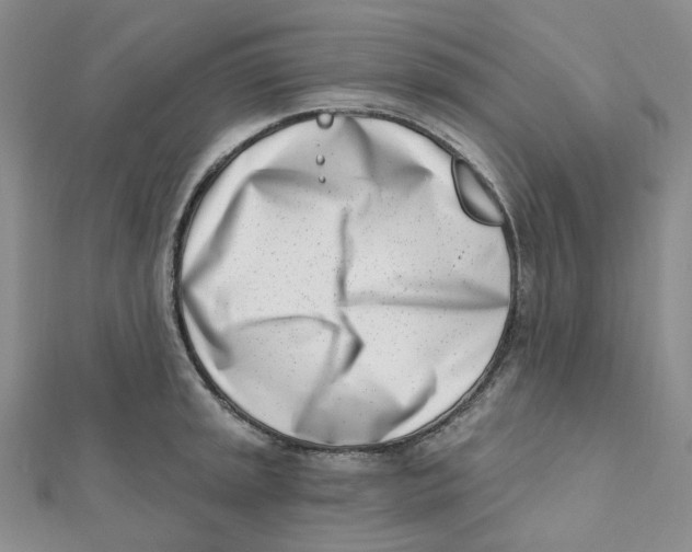X0000112081045200909011039