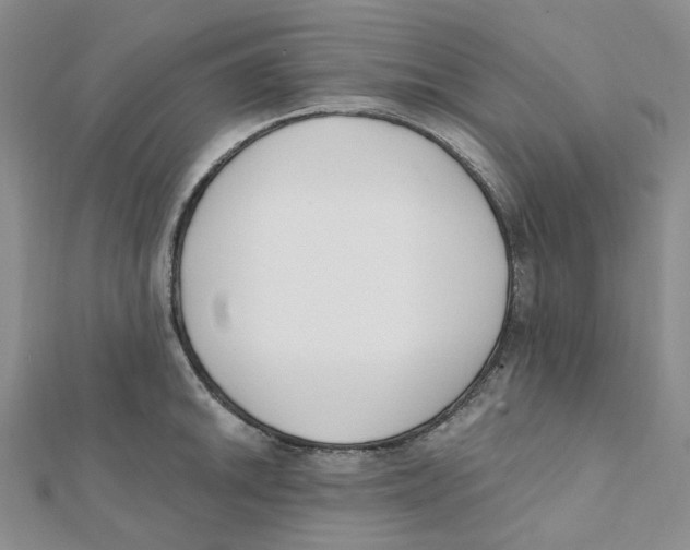 X0000112081046200909011039