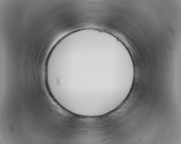 X0000112081048200909011039