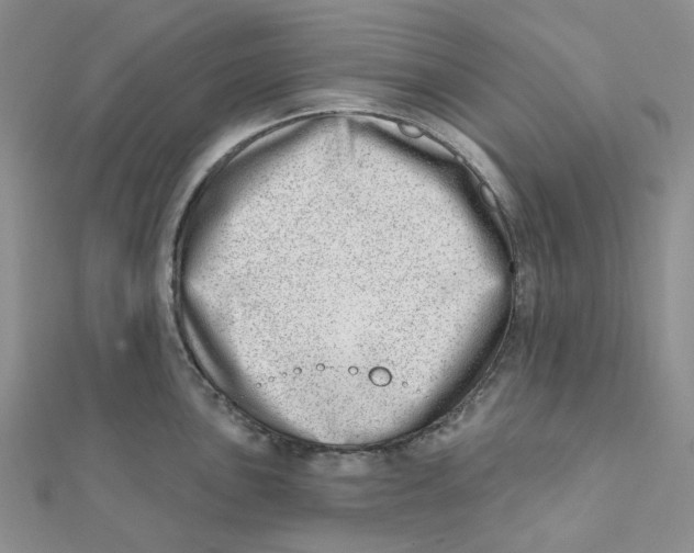 X0000112081051200909011039