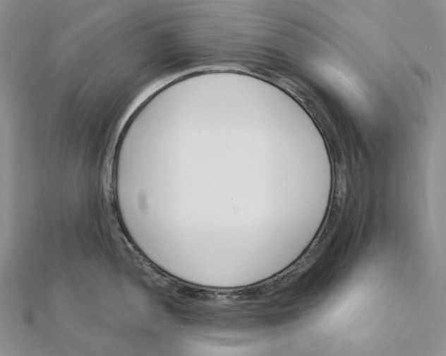 X0000112081052200909011039
