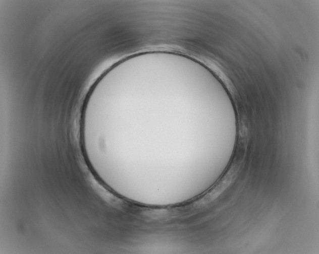 X0000112081054200909011039