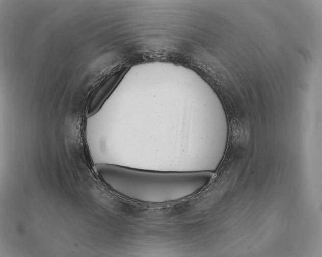 X0000112081060200909011039