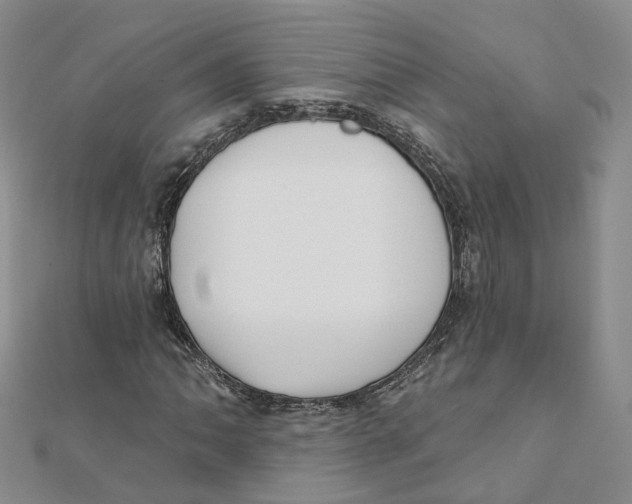X0000112081062200909011039