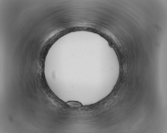 X0000112081064200909011039