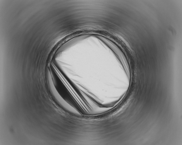 X0000112081065200909011039