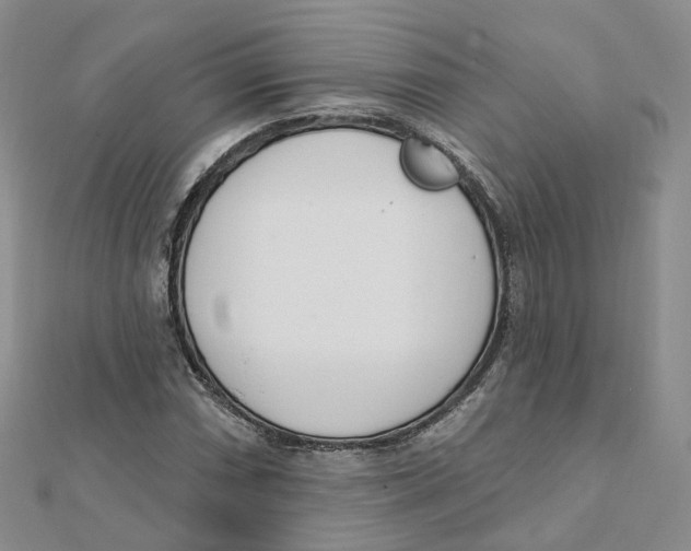 X0000112081066200909011039