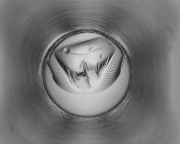 X0000112081068200909011039