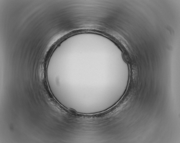 X0000112081069200909011039
