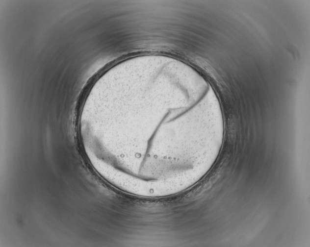 X0000112081071200909011039