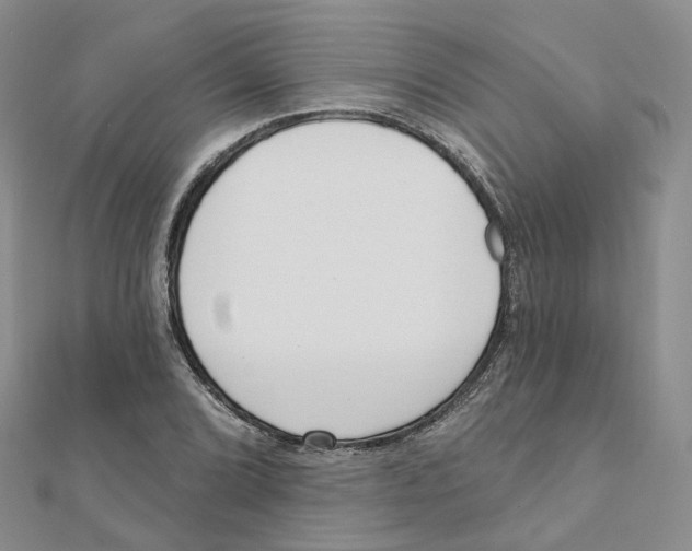 X0000112081072200909011039