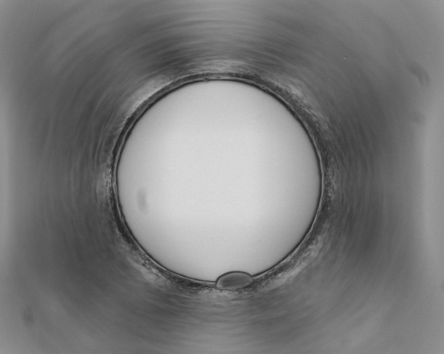X0000112081073200909011039