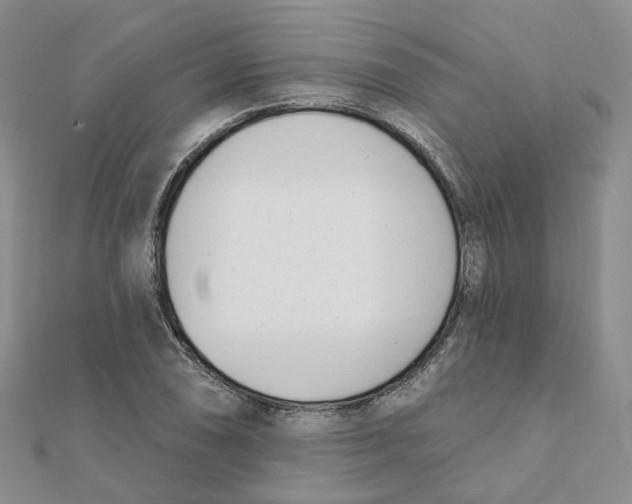 X0000112081074200909011039