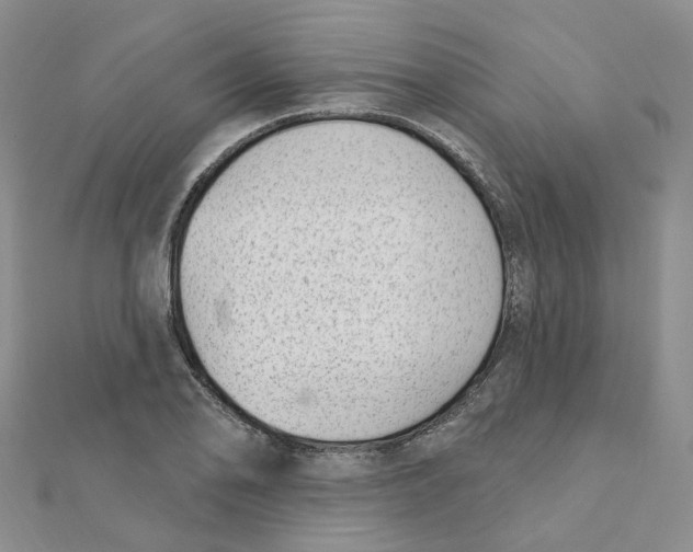 X0000112081078200909011039
