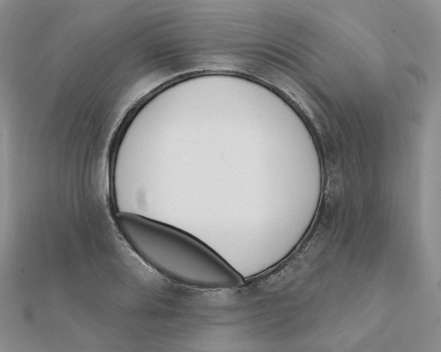 X0000112081080200909011039
