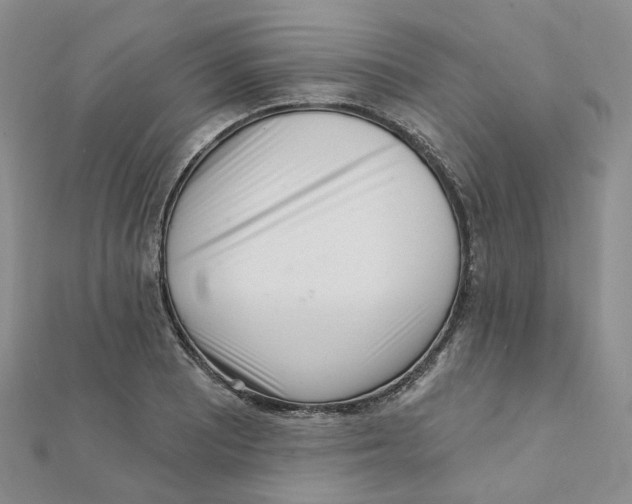 X0000112081081200909011039