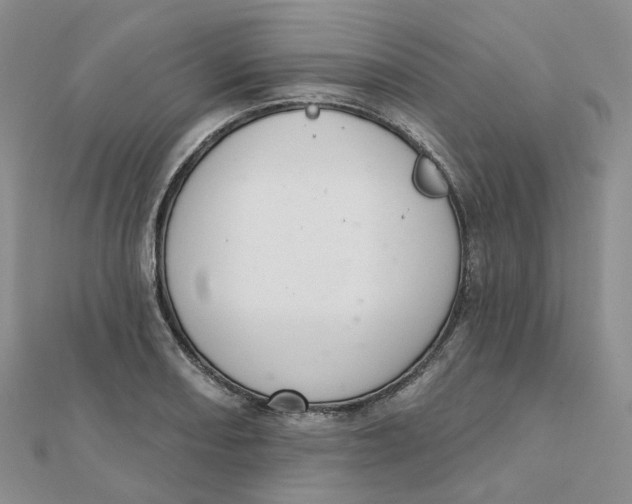 X0000112081082200909011039