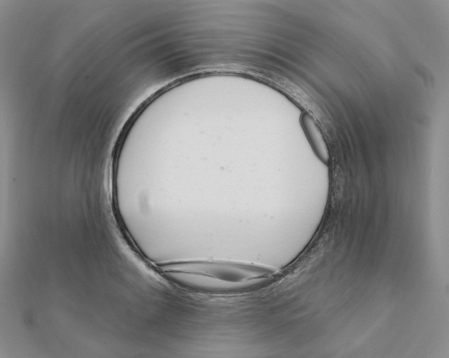 X0000112081084200909011039