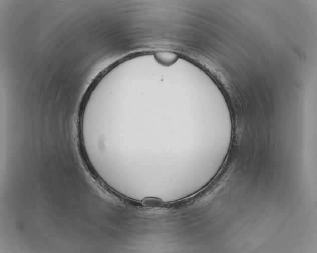 X0000112081085200909011039