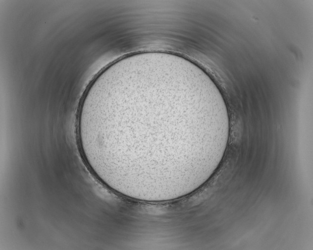 X0000112081086200909011039