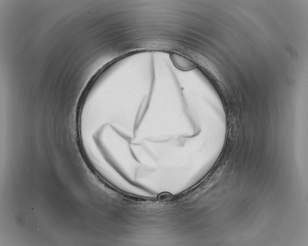 X0000112081087200909011039