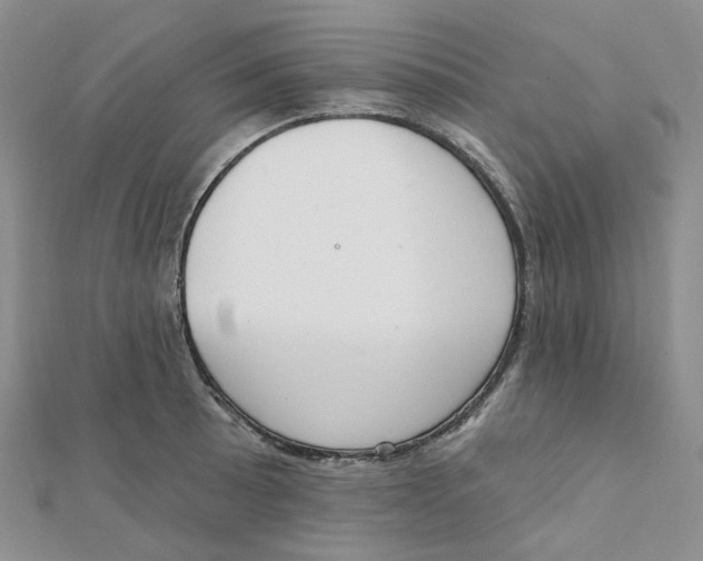 X0000112081089200909011038