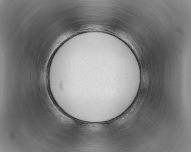 X0000112081090200909011038