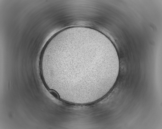 X0000112081091200909011038