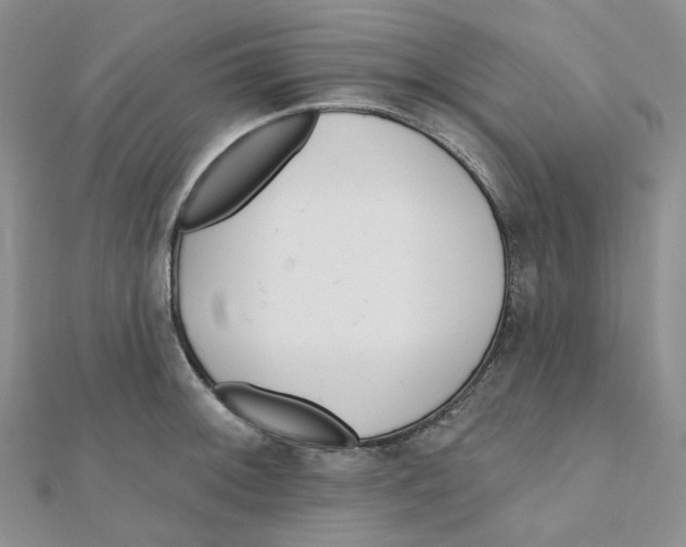 X0000112081092200909011038