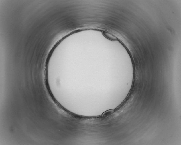 X0000112081093200909011038