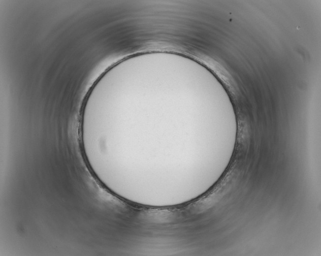 X0000112081094200909011038