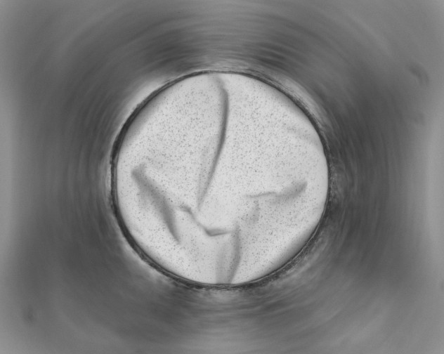 X0000112081095200909011038