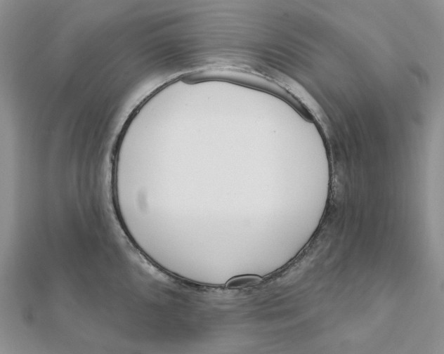 X0000112081096200909011038