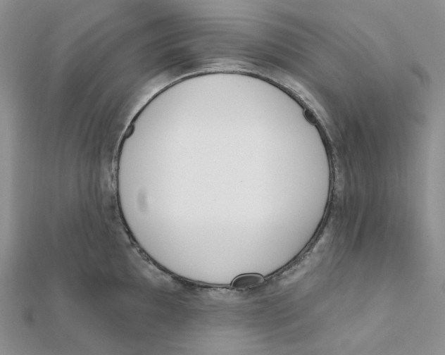 X0000112081097200909011038