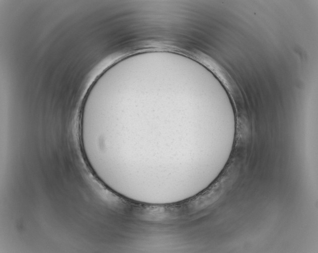 X0000112081098200909011038