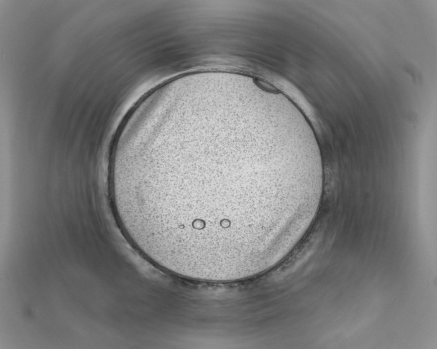 X0000112081099200909011038