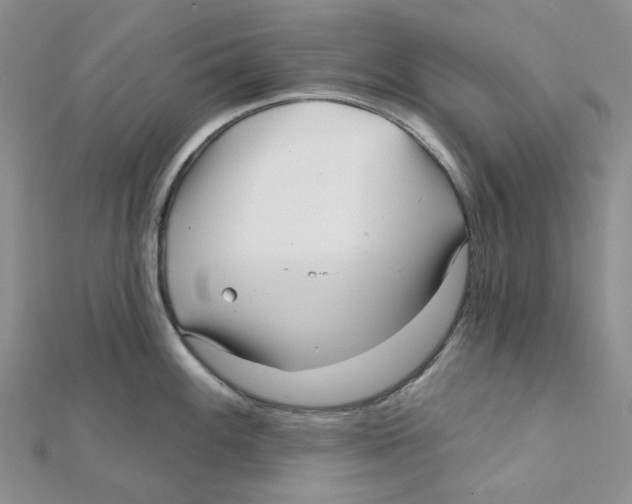 X0000112081100200909011038