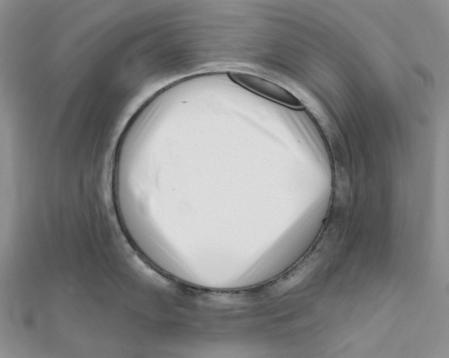 X0000112081102200909011038