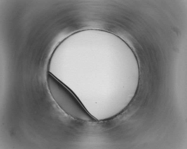 X0000112081104200909011038