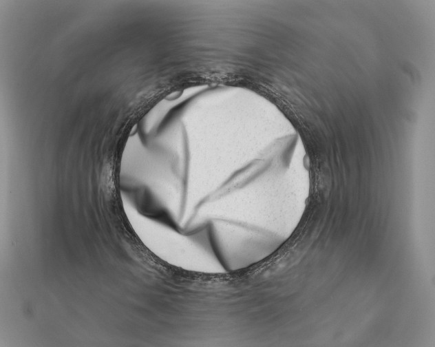 X0000112081106200909011038