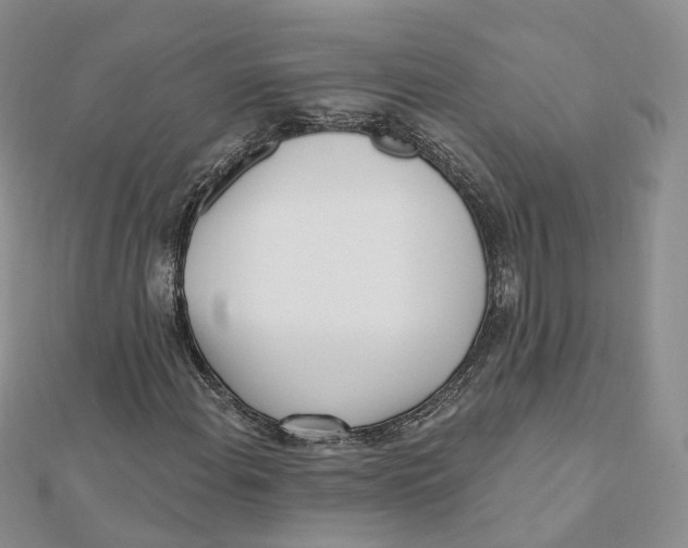 X0000112081108200909011038