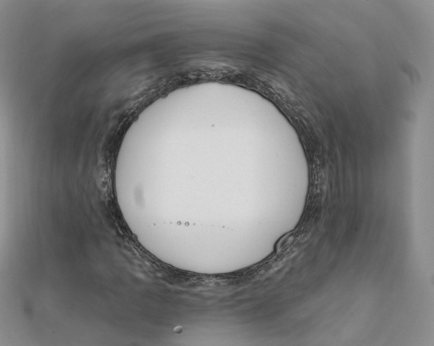 X0000112081109200909011038