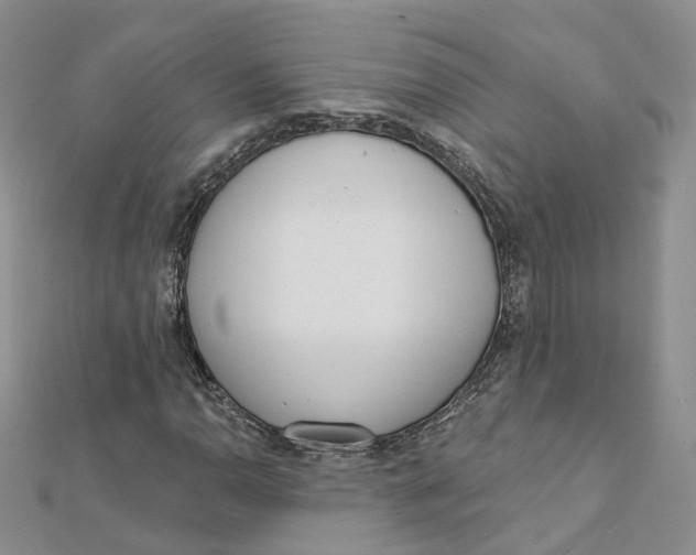 X0000112081110200909011038