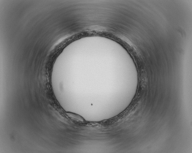 X0000112081112200909011038