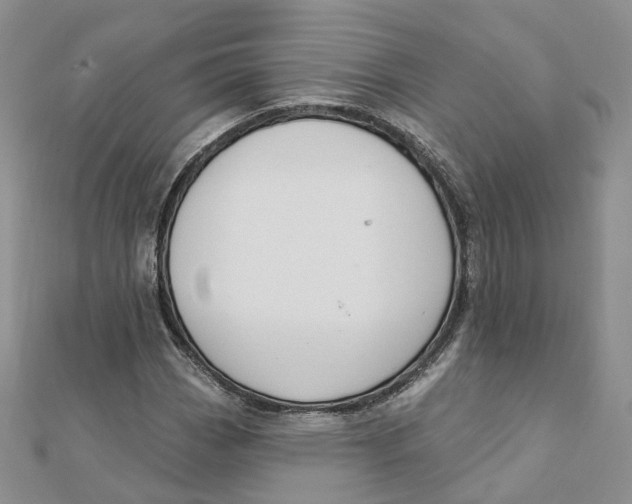 X0000112081113200909011038