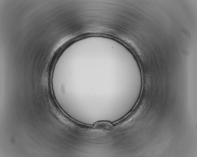 X0000112081114200909011038