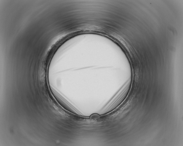 X0000112081115200909011038