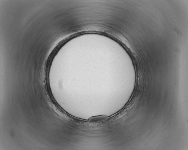 X0000112081116200909011038
