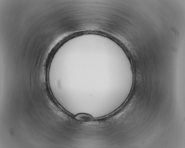 X0000112081118200909011038