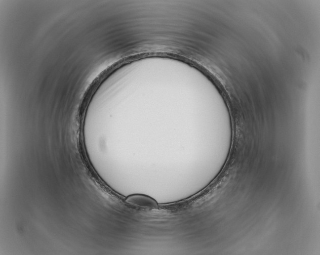 X0000112081119200909011038